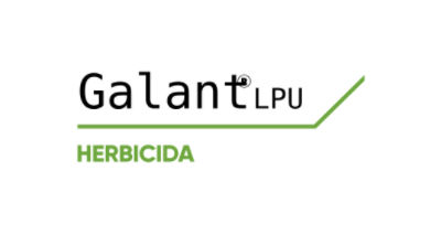 Logo de Galant LPU